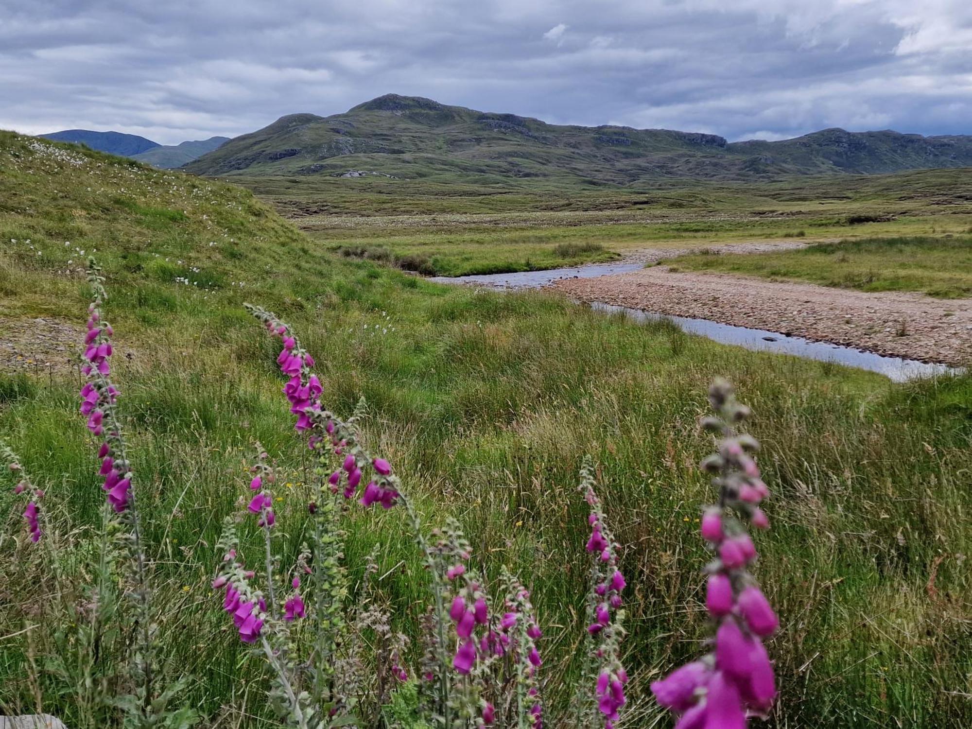 Appartamento Gorse Gorgeous Glamping Hideaway Dundonnell Esterno foto